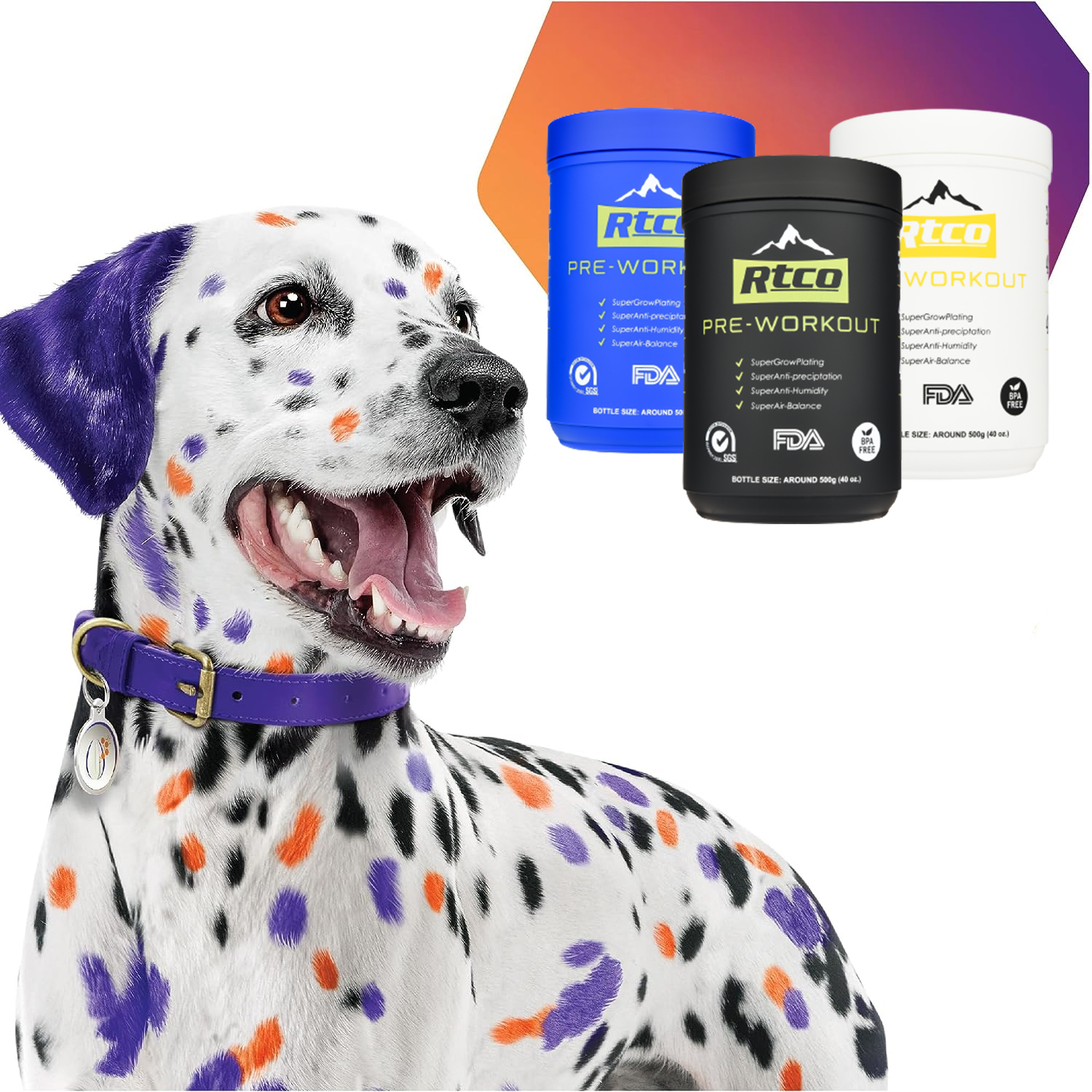 The Growing Market of Pet Supplements in North America: Trends and Opportunities